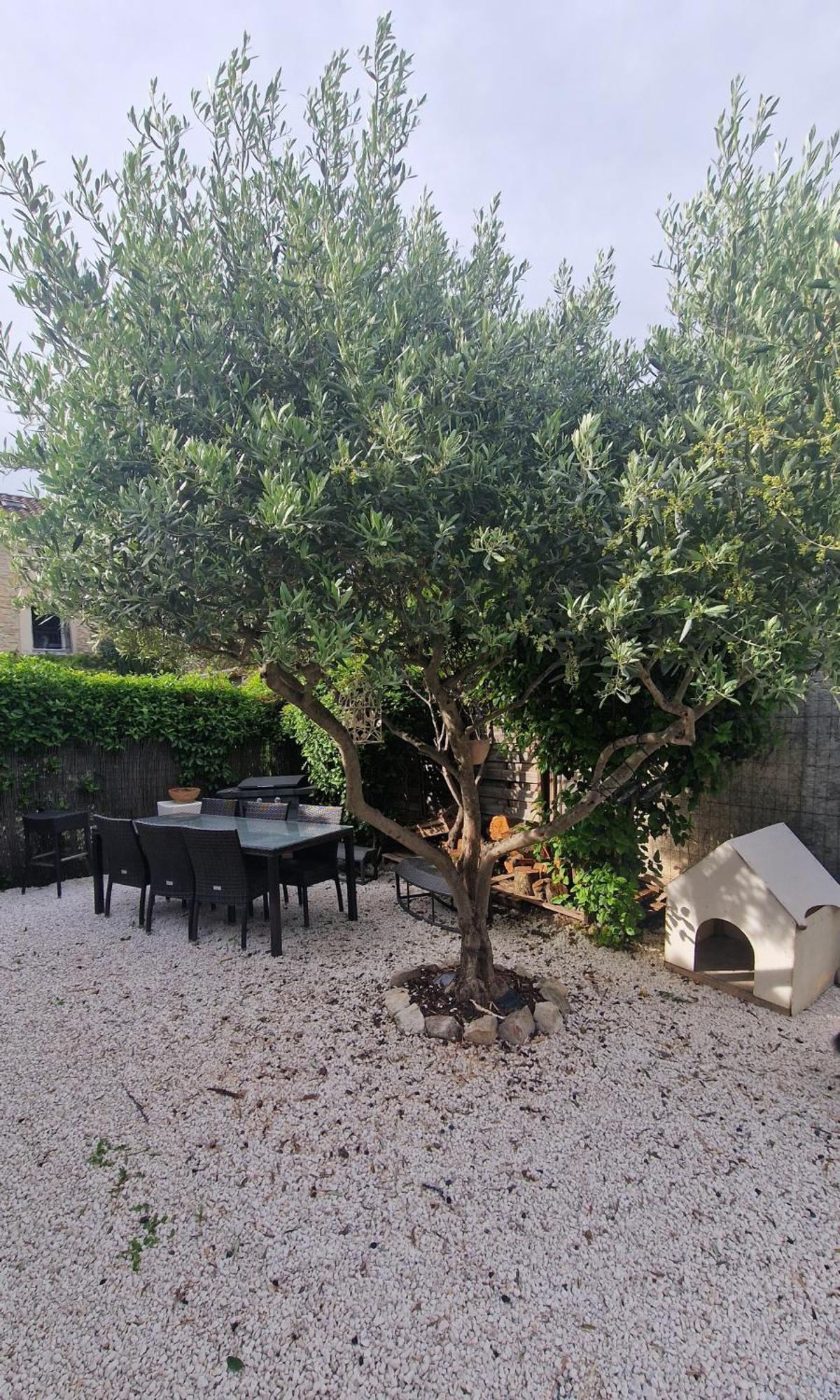 Parenthese Caumontoise . Apartment Bagian luar foto
